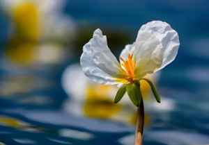 Read more about the article 和合術在哪預約？找哪位師傅做效果好？