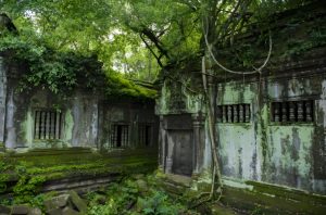 Read more about the article 民間故事：千年人參精