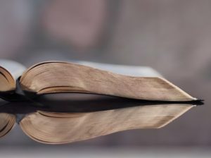 Read more about the article 為何哲學史在某種程度上可能抑制哲學的活力？