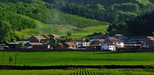 Read more about the article 西豐縣方言探秘