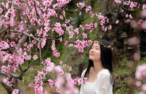 Read more about the article 命裡犯爛桃花怎麼破？斬桃花是最佳選擇