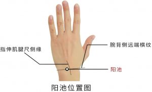 Read more about the article 道醫養生|巧用少陽經止痛穴，緩解身體疼痛的秘密