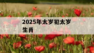 Read more about the article 2025哪些生肖需要化太歲？