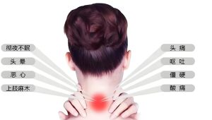 Read more about the article 有一味中藥，是頸椎病 “救星”！