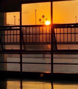 Read more about the article 道醫告訴你為什麼五點鐘要起床？