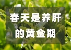 Read more about the article 春天做好三件事，養肝生陽防百病！