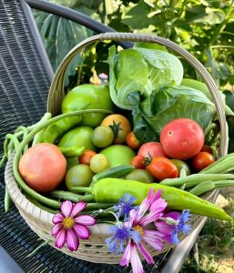 Read more about the article 中医：少吃食物的“尸体”！多吃食物的“气”！