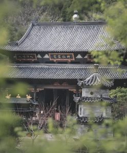 Read more about the article 修行修的是什麼？