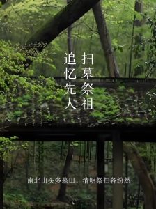 Read more about the article 清明節上墳誦唸，太乙救苦寶誥可以超度祖先、為後代積累福報