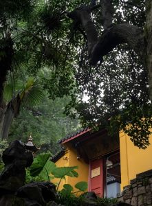 Read more about the article 入道，並不是穿上道服，練一練功夫。唯有人心死，道心活，方才進入清靜之門