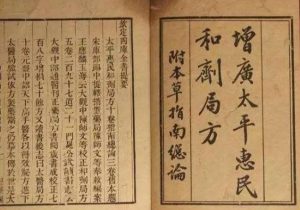 Read more about the article 探秘《大平惠民和劑局方》縮脾飲